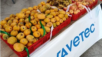 Business Anual Diner